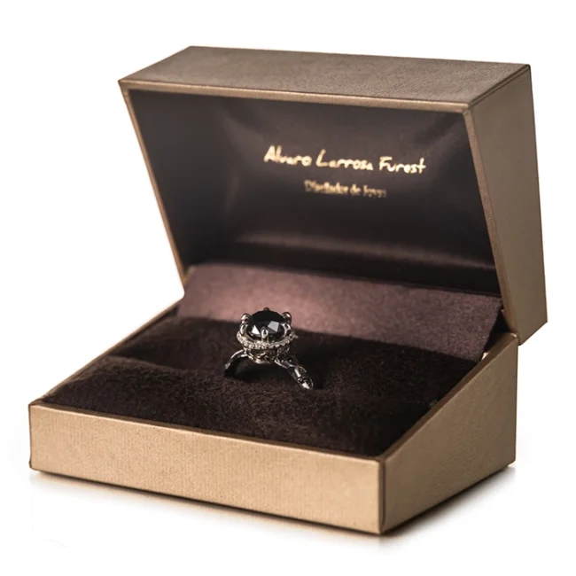 choose_jewel_black_silver_ring_box